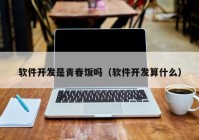 软件开发是青春饭吗（软件开发算什么）