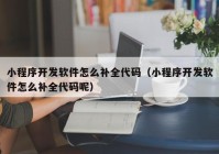 小程序开发软件怎么补全代码（小程序开发软件怎么补全代码呢）
